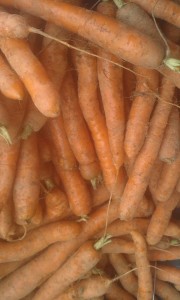 carotte  region 2.50€ le kilo