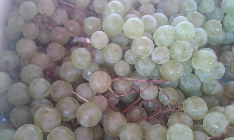 raisin blanc italie 4.50€ le kilo