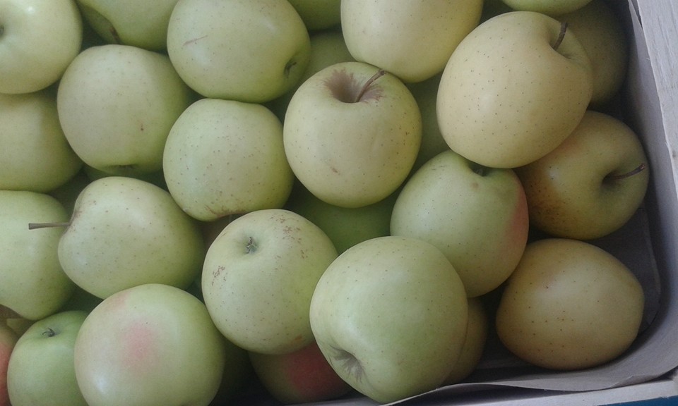 Pomme Golden delicious france 2.80€ le kilo