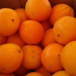 Orange à bouche lanelate espagne 2.50€ le kilo