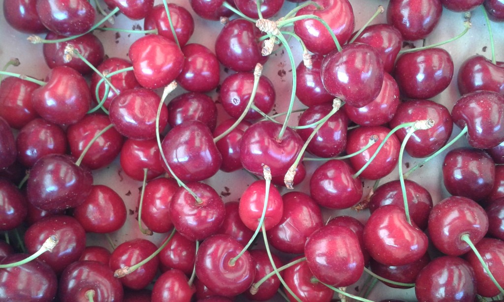 Cerise France 10€ le kilo