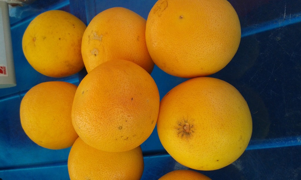 orange a jus 1/2 sanguine itallie 2.50 euros le kilo
