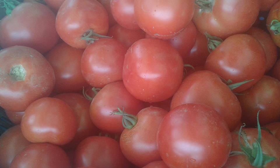 Tomate Paola Grand rullecourt 3.20€ le kilo